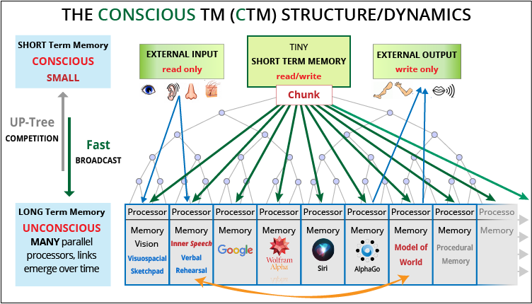 Graphic representing the Conscious Turing Machine (CTM) computational model: long description available